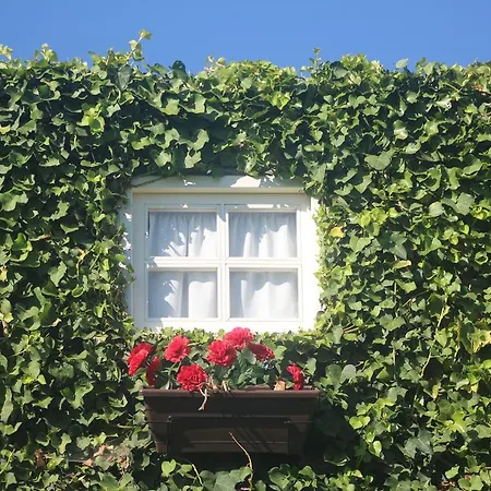 Casa Do Moinho Lantställe Ovar