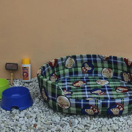 乡村民宿 磨坊农舍 *