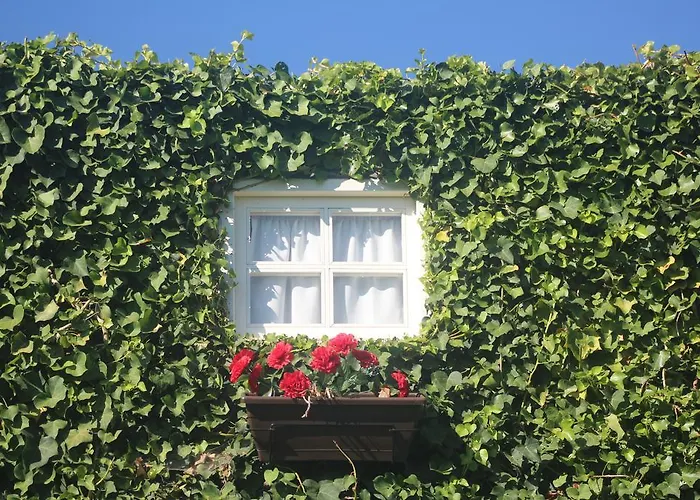 Casa Do Moinho منزل ريفي أوفار